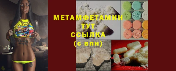 шишки Белокуриха