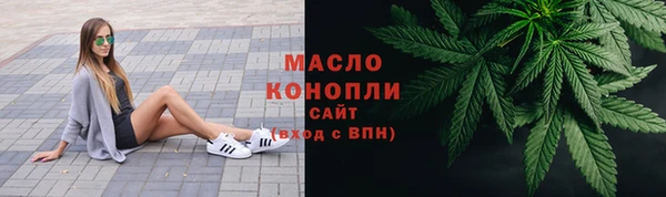 шишки Белокуриха