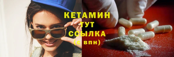 шишки Белокуриха