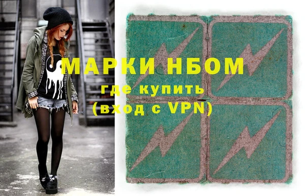 шишки Белокуриха