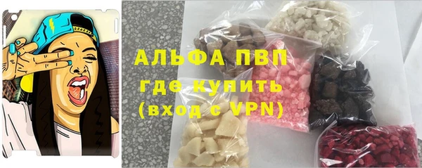 шишки Белокуриха