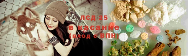 шишки Белокуриха